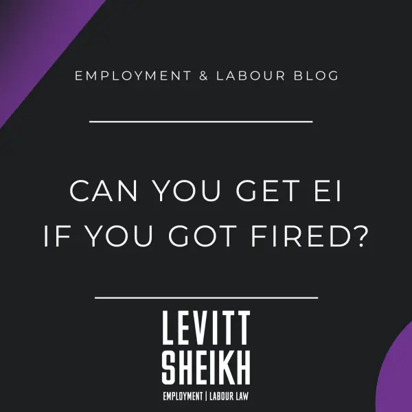 Can you get EI if you Got Fired?