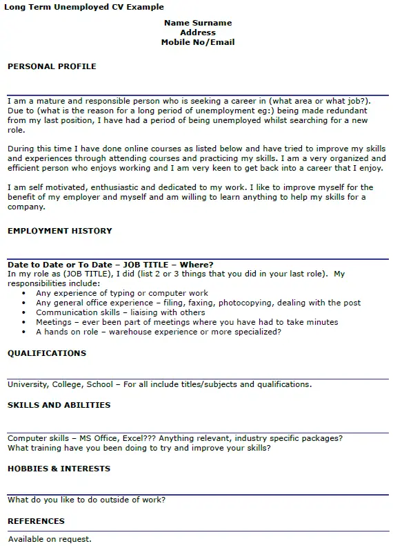 Long Term Unemployed CV Example