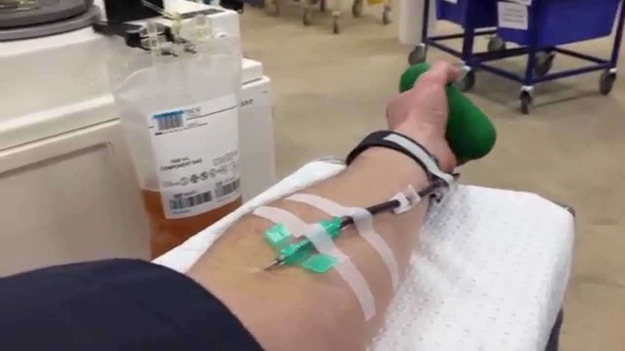 Red Cross Plasma Donation Explained by Medical Student ...